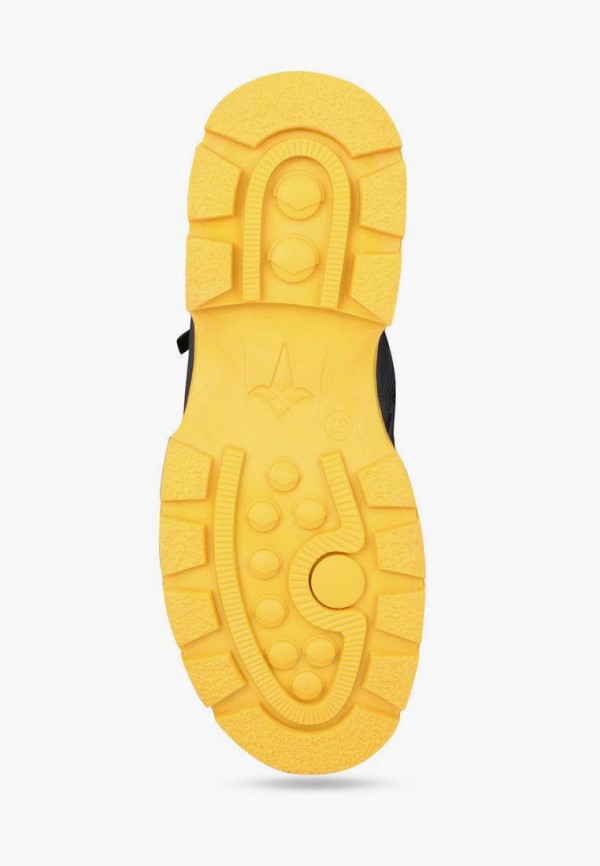 фото Ботинки t.taccardi