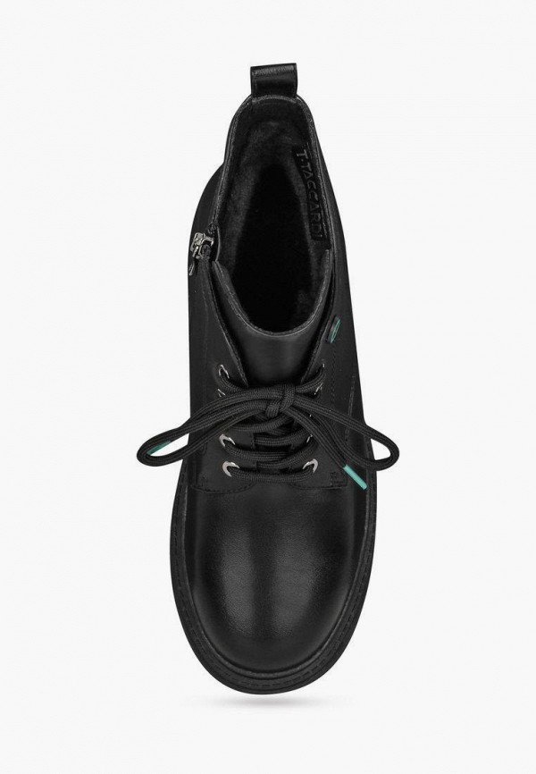 фото Ботинки t.taccardi