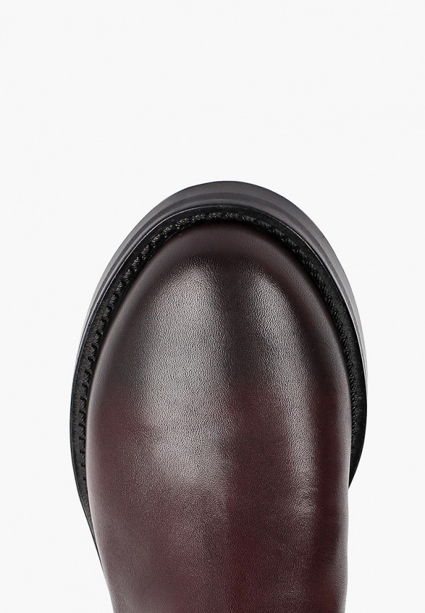 фото Сапоги ekonika