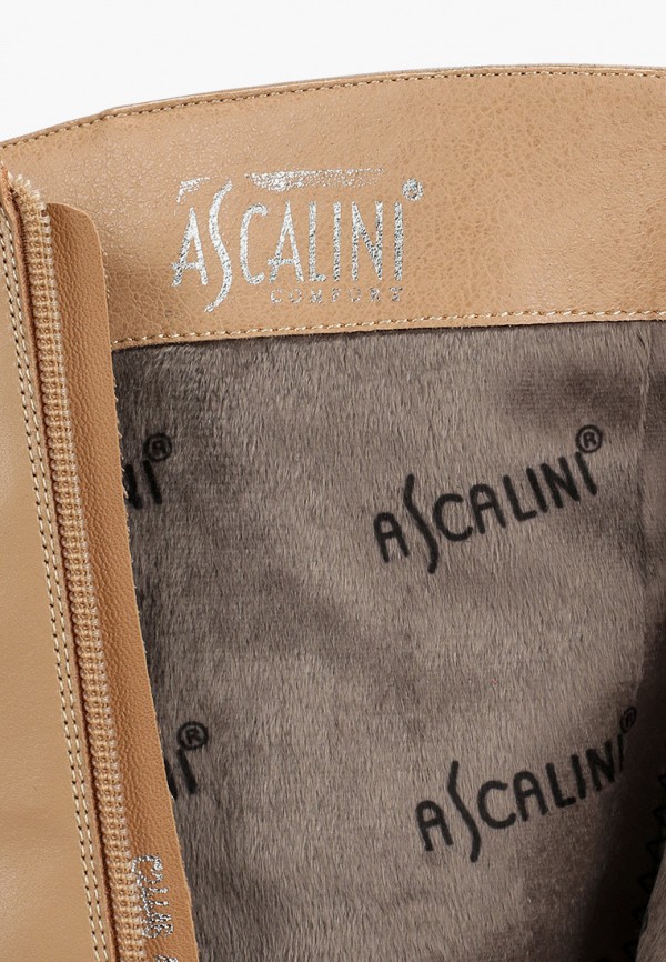 фото Сапоги ascalini