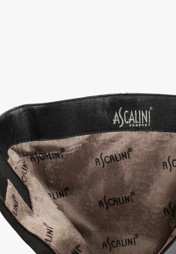 фото Сапоги ascalini