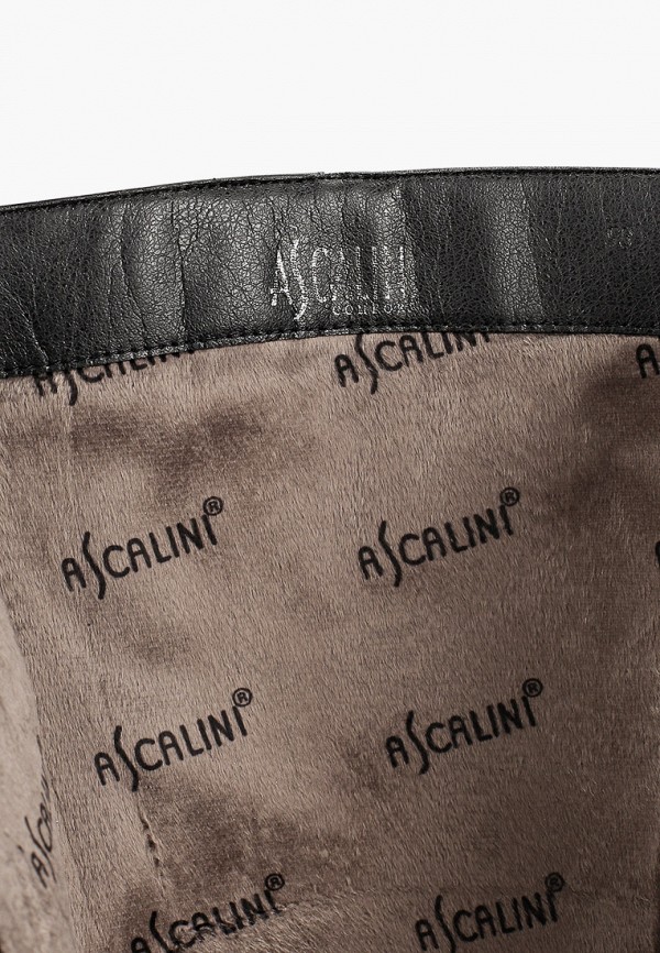 фото Сапоги ascalini
