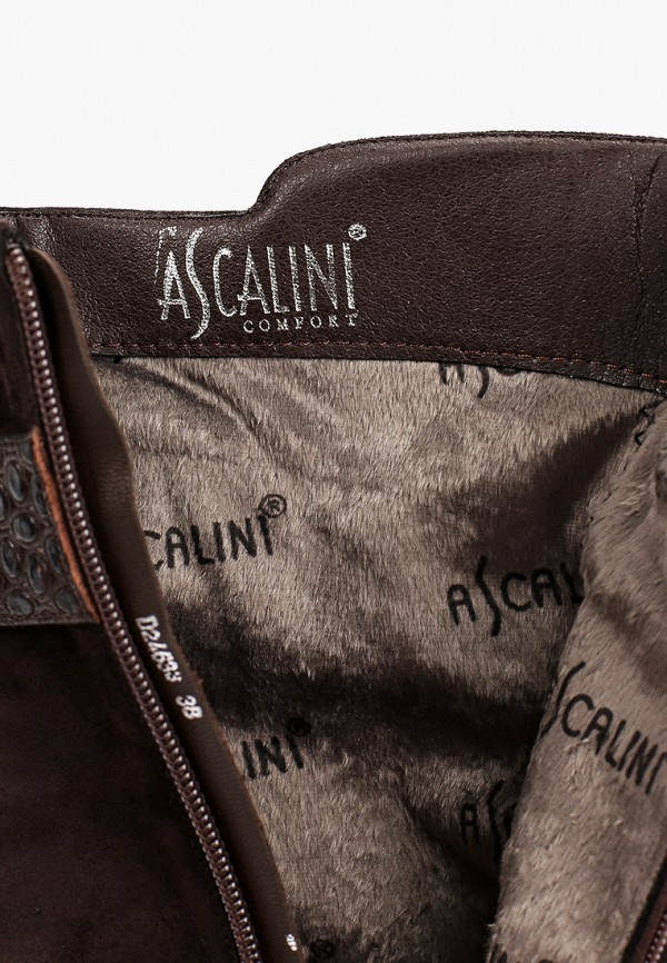 фото Полусапоги ascalini