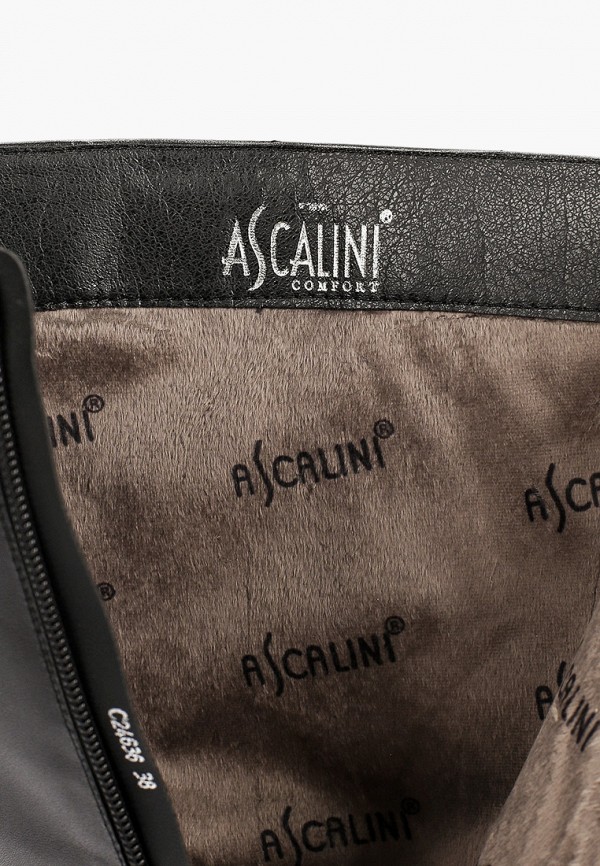 фото Сапоги ascalini