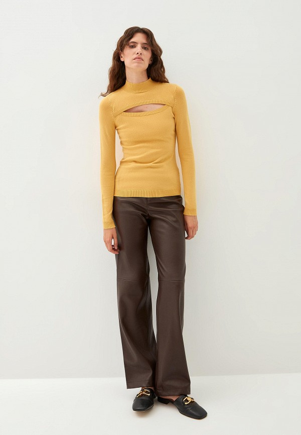 фото Водолазка zarina