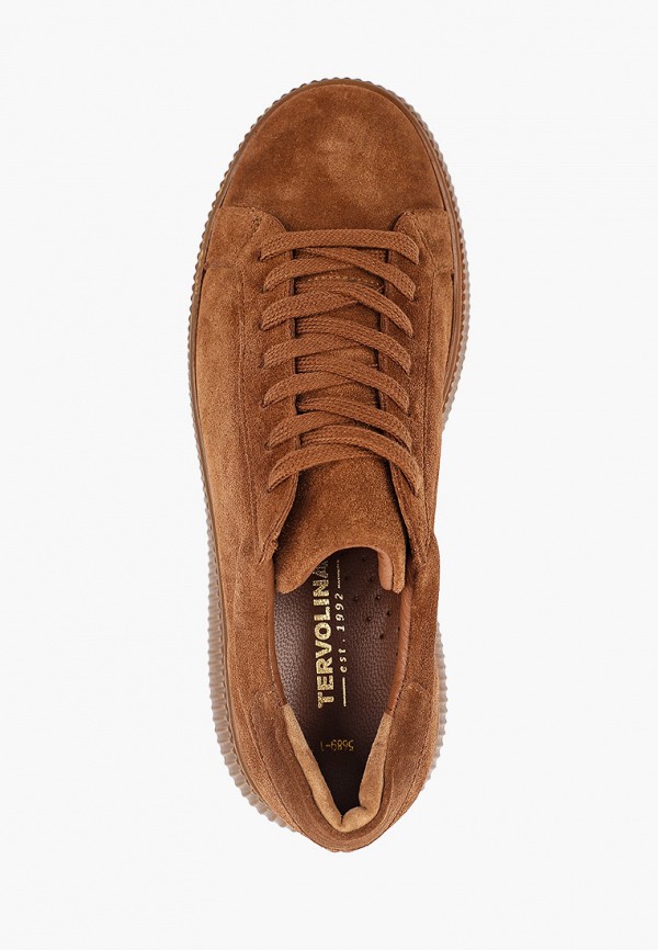 фото Кеды tervolina