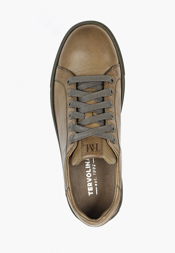 фото Кеды tervolina