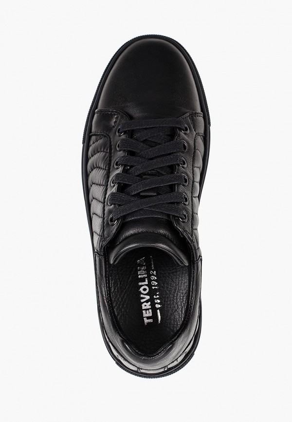 фото Кеды tervolina