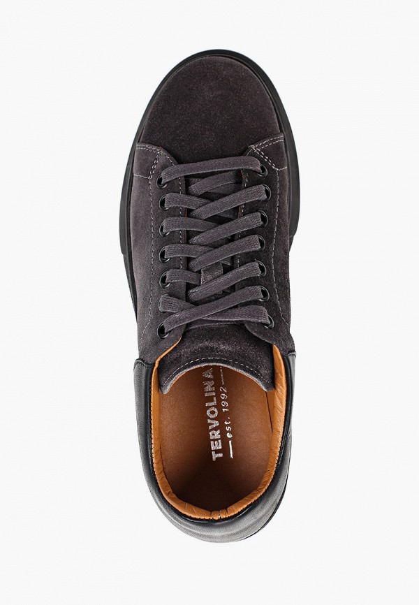 фото Кеды tervolina