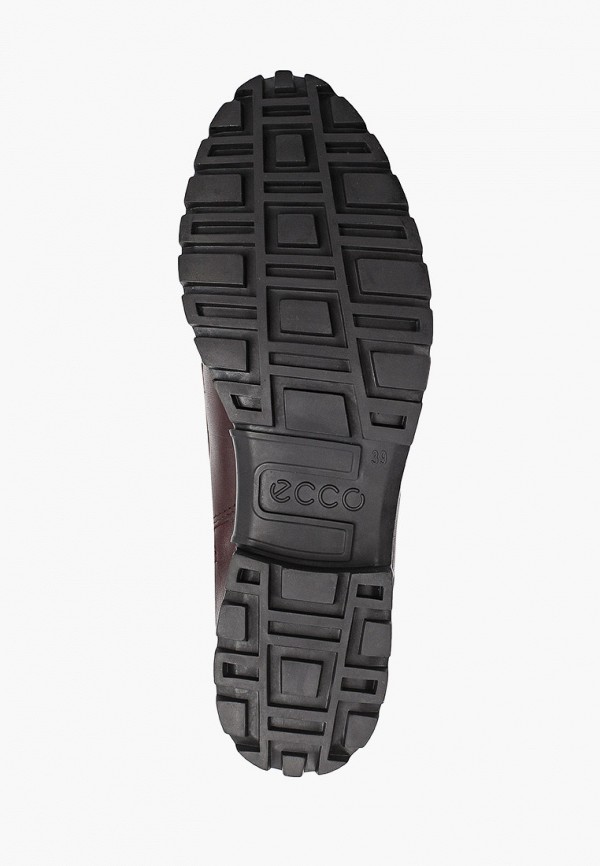 фото Ботинки ecco
