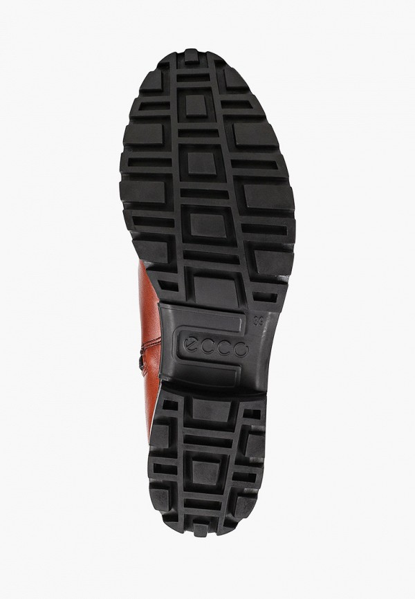 фото Сапоги ecco