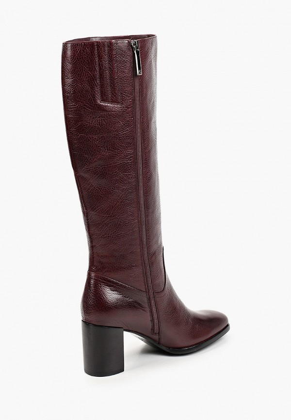 фото Сапоги basconi