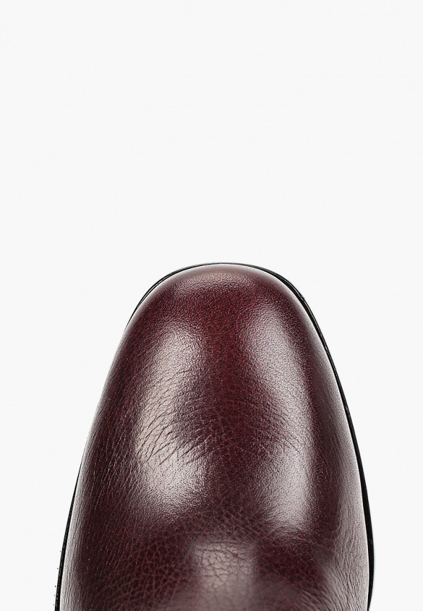 фото Сапоги basconi