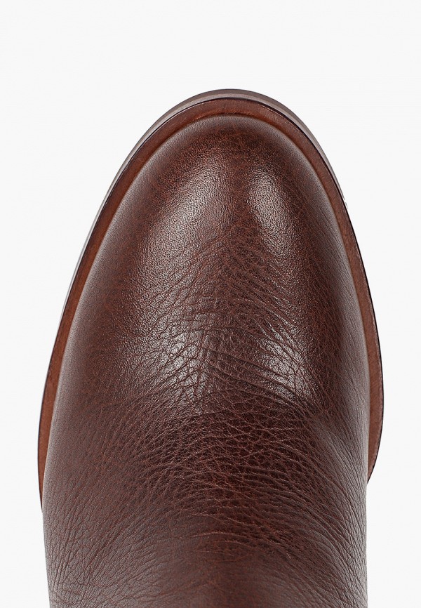 фото Сапоги basconi