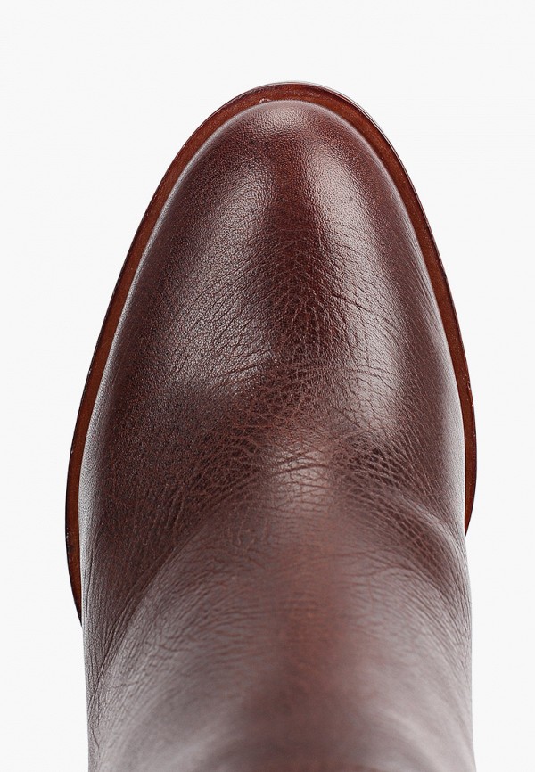 фото Сапоги basconi