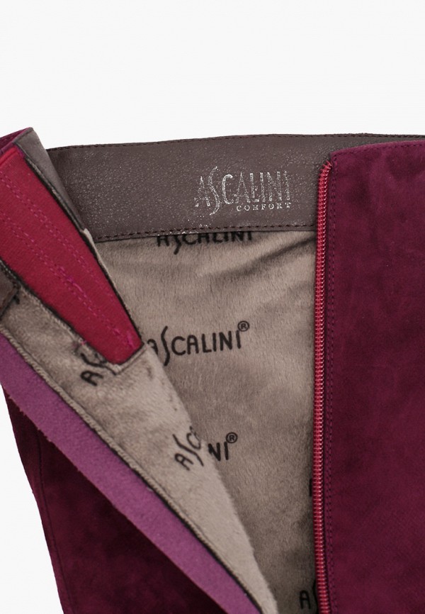 фото Сапоги ascalini