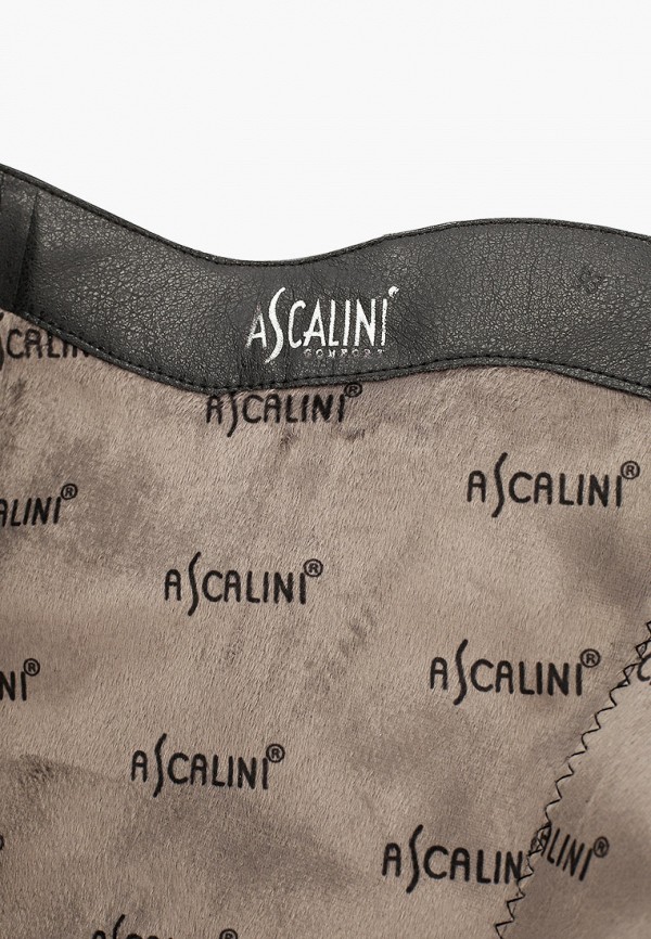 фото Сапоги ascalini