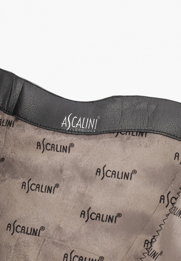 фото Сапоги ascalini