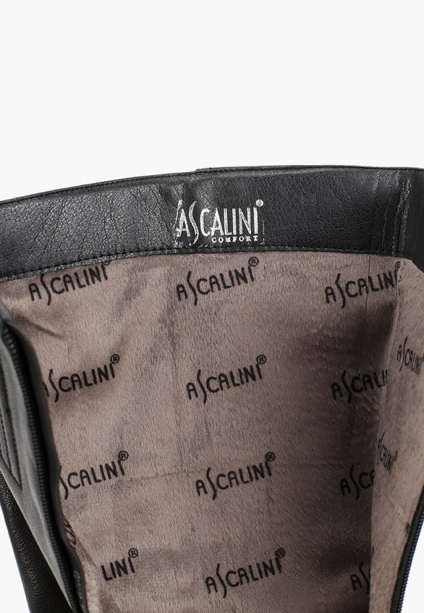 фото Сапоги ascalini