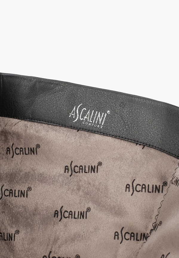 фото Сапоги ascalini