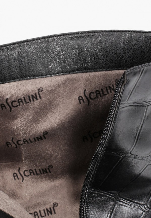 фото Сапоги ascalini