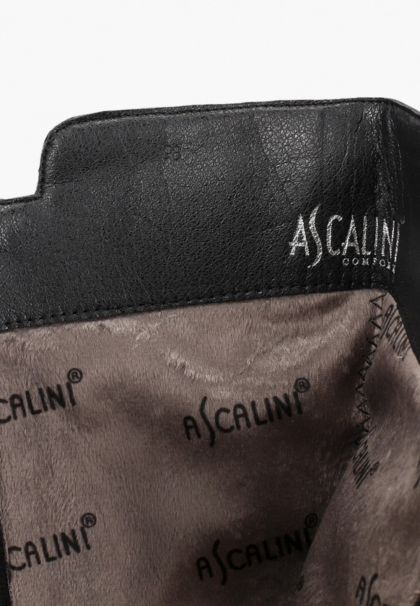 

Сапоги Ascalini, Черный