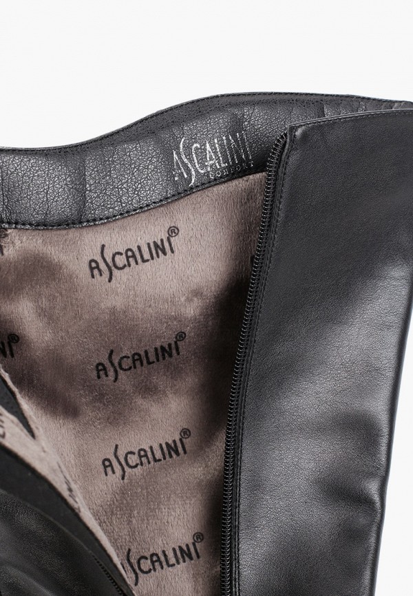 

Сапоги Ascalini, Черный