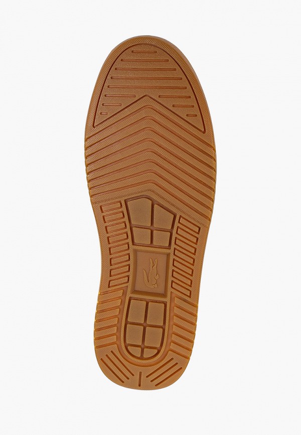 фото Кеды lacoste