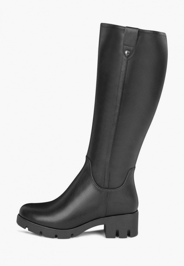 фото Сапоги t.taccardi