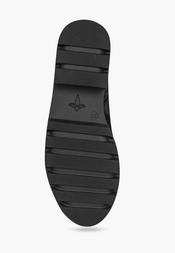 фото Ботинки t.taccardi