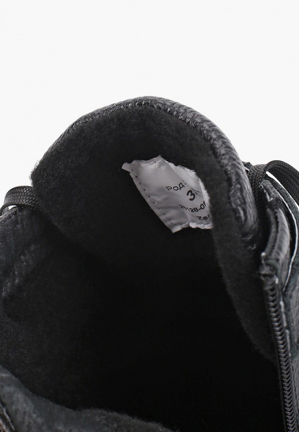 фото Кеды zenden