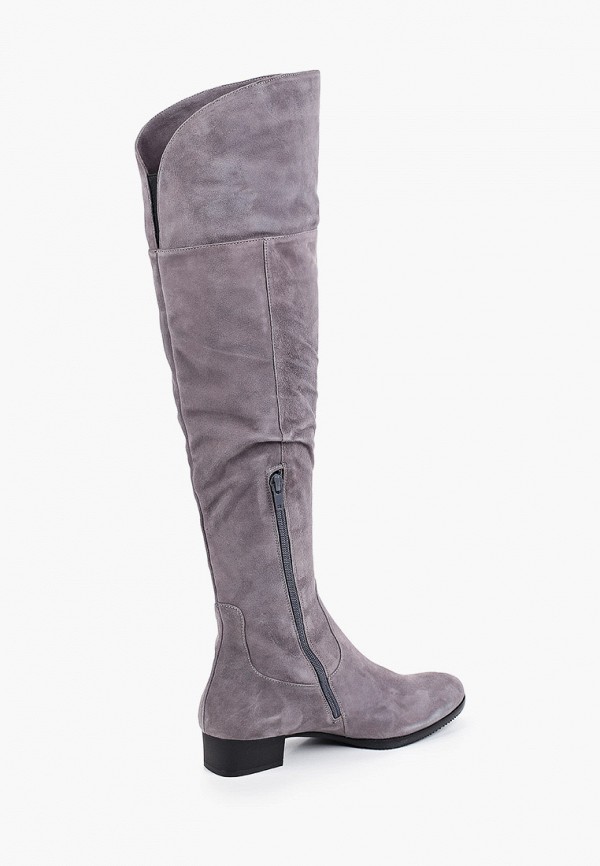 фото Ботфорты lagatta