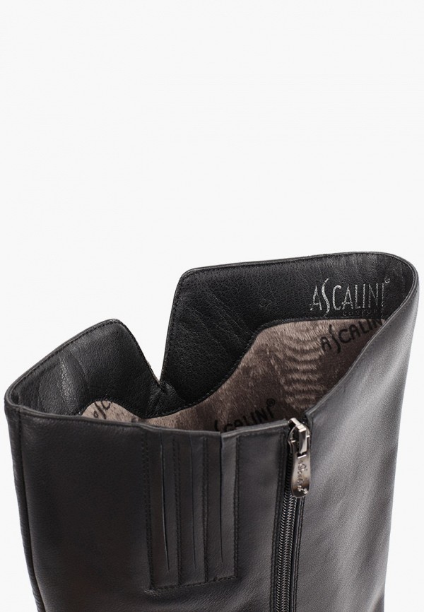 фото Сапоги ascalini