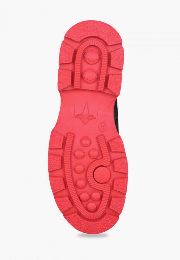 фото Ботинки t.taccardi