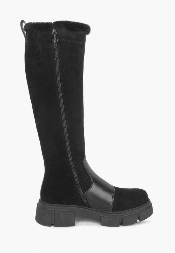 фото Сапоги t.taccardi