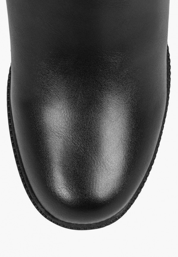 фото Сапоги t.taccardi