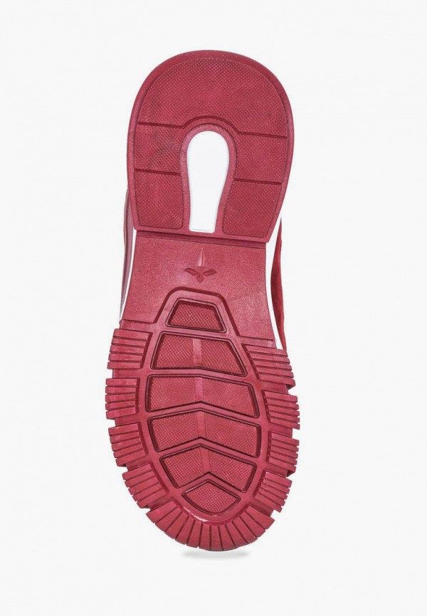 фото Ботинки t.taccardi