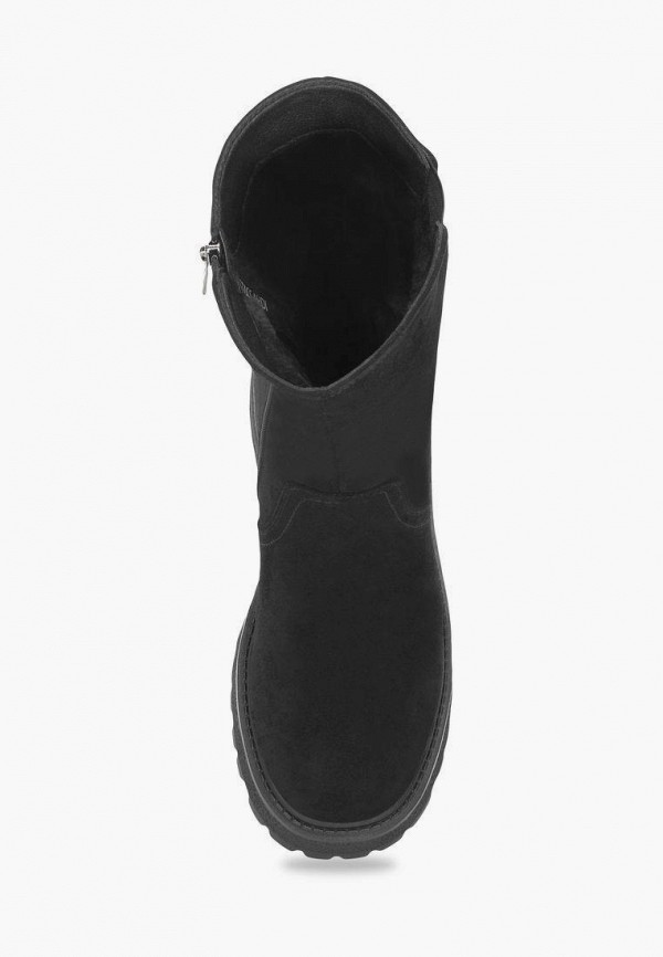 фото Полусапоги t.taccardi