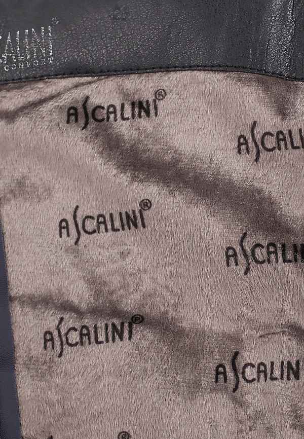 фото Сапоги ascalini