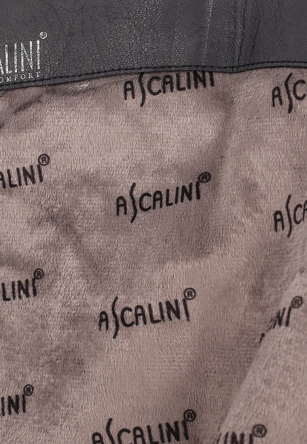 фото Сапоги ascalini