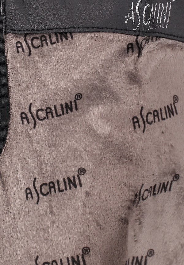 фото Сапоги ascalini