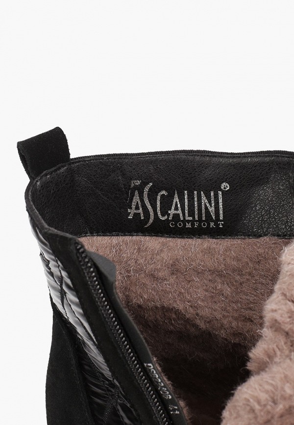 фото Ботинки ascalini