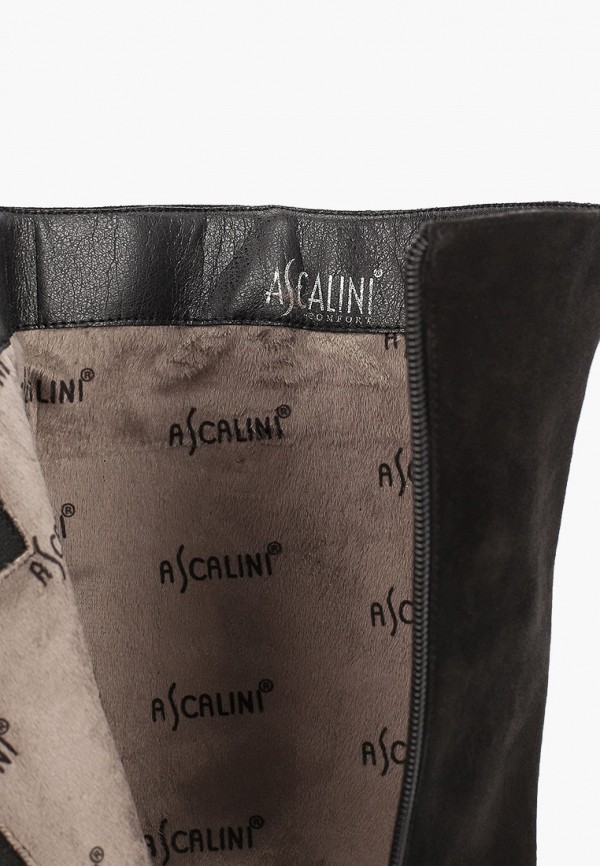 фото Сапоги ascalini
