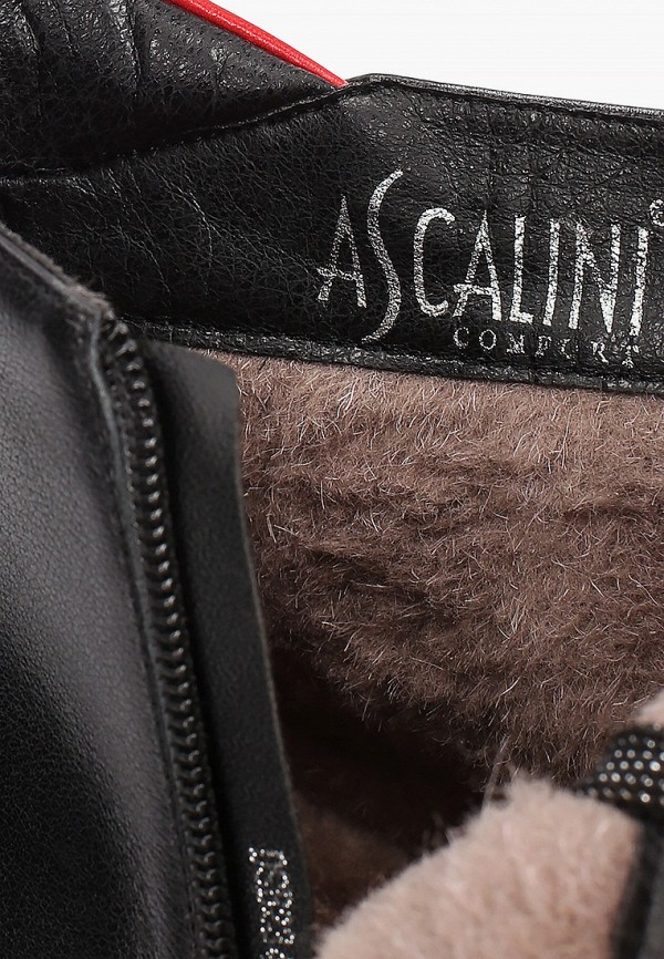 фото Ботинки ascalini
