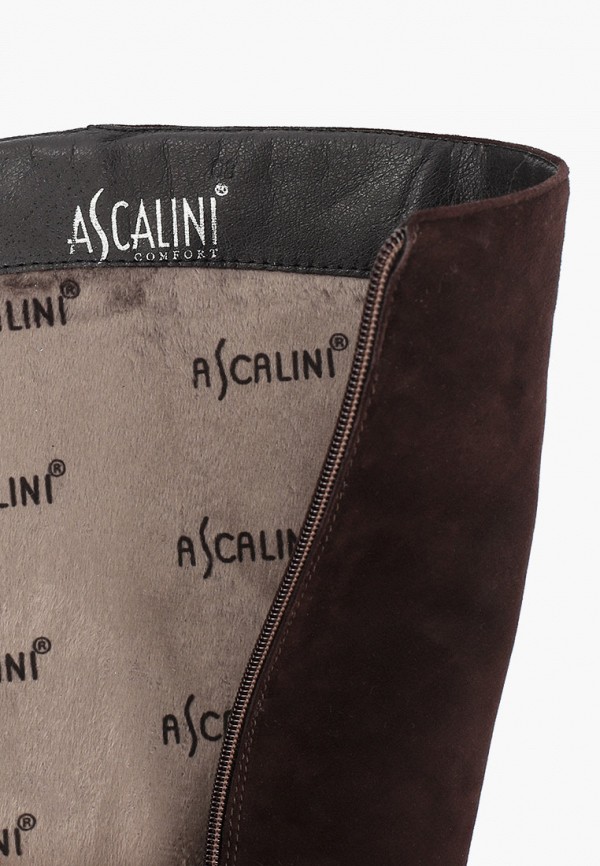 фото Сапоги ascalini