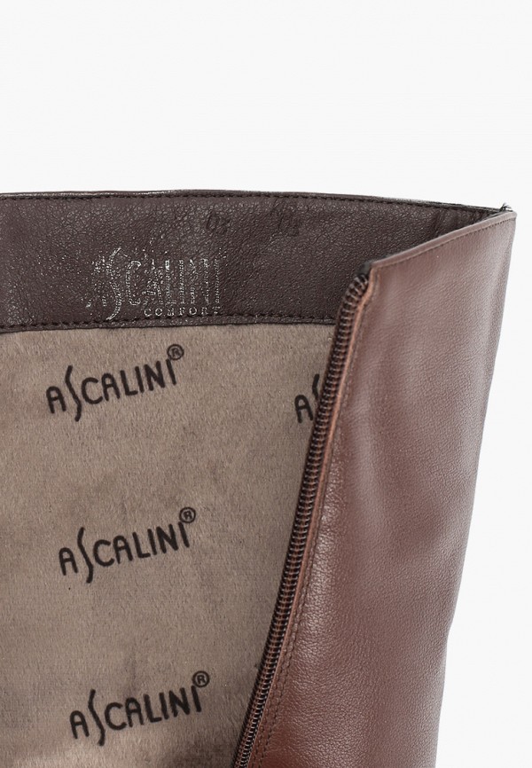 фото Сапоги ascalini