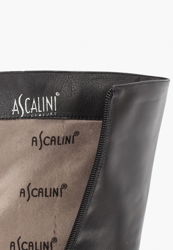 фото Сапоги ascalini