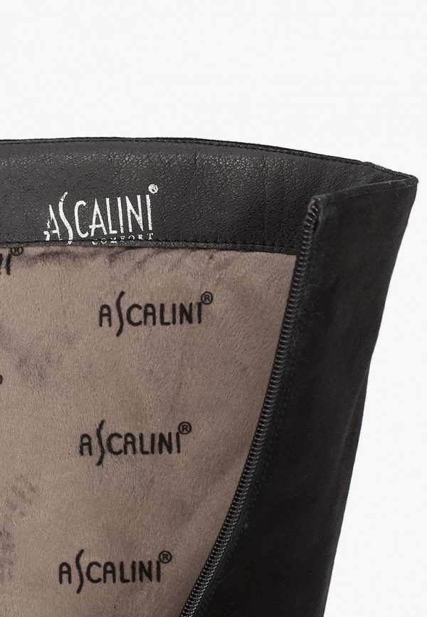 фото Сапоги ascalini