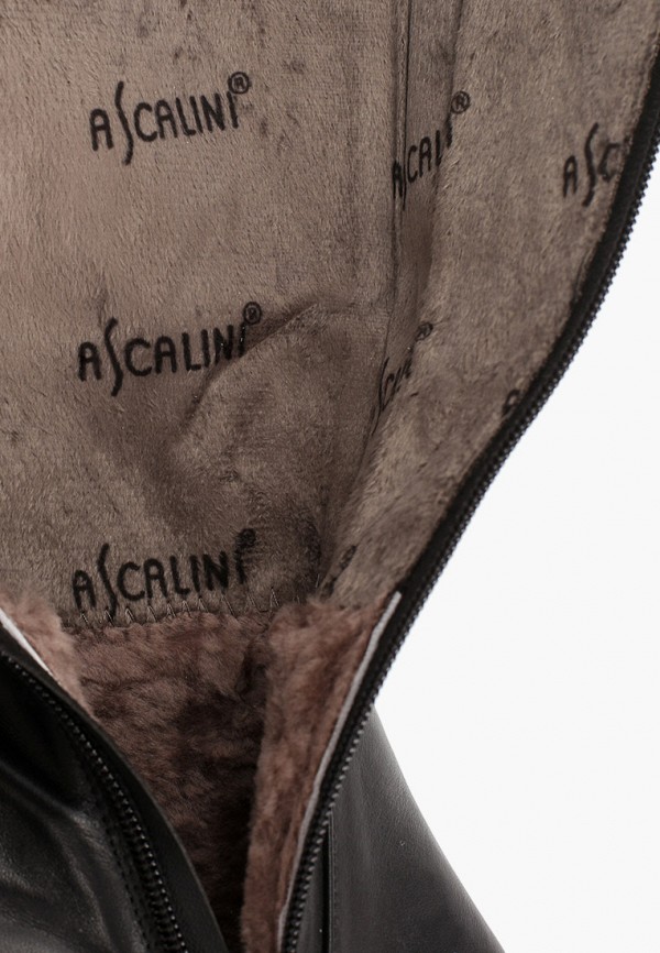 Сапоги Ascalini цвет черный  Фото 6