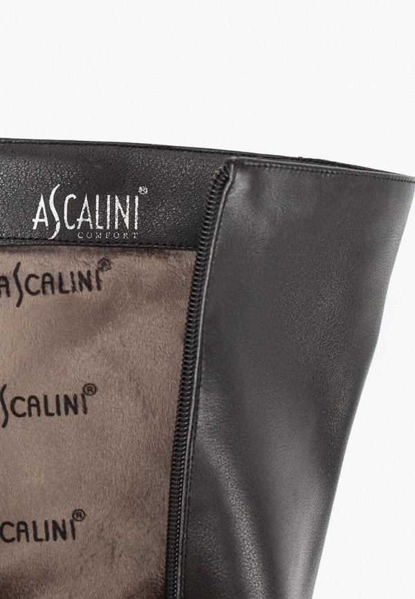 фото Сапоги ascalini